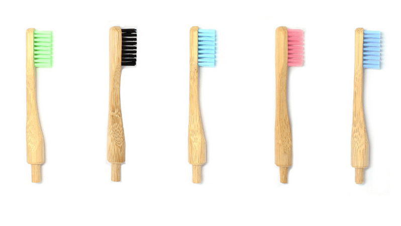 The Sustainable Toothbrush: Where to Find It and Why It Should Be the ...