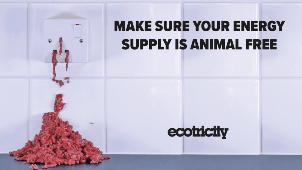 animal free energy supply ecotricity