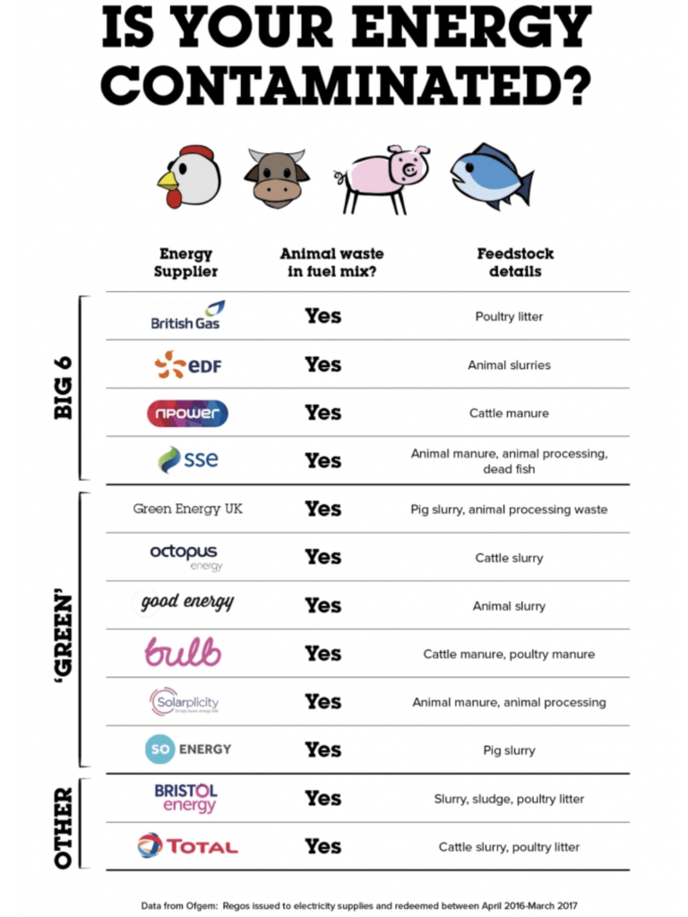 animals energy supply ecotricity