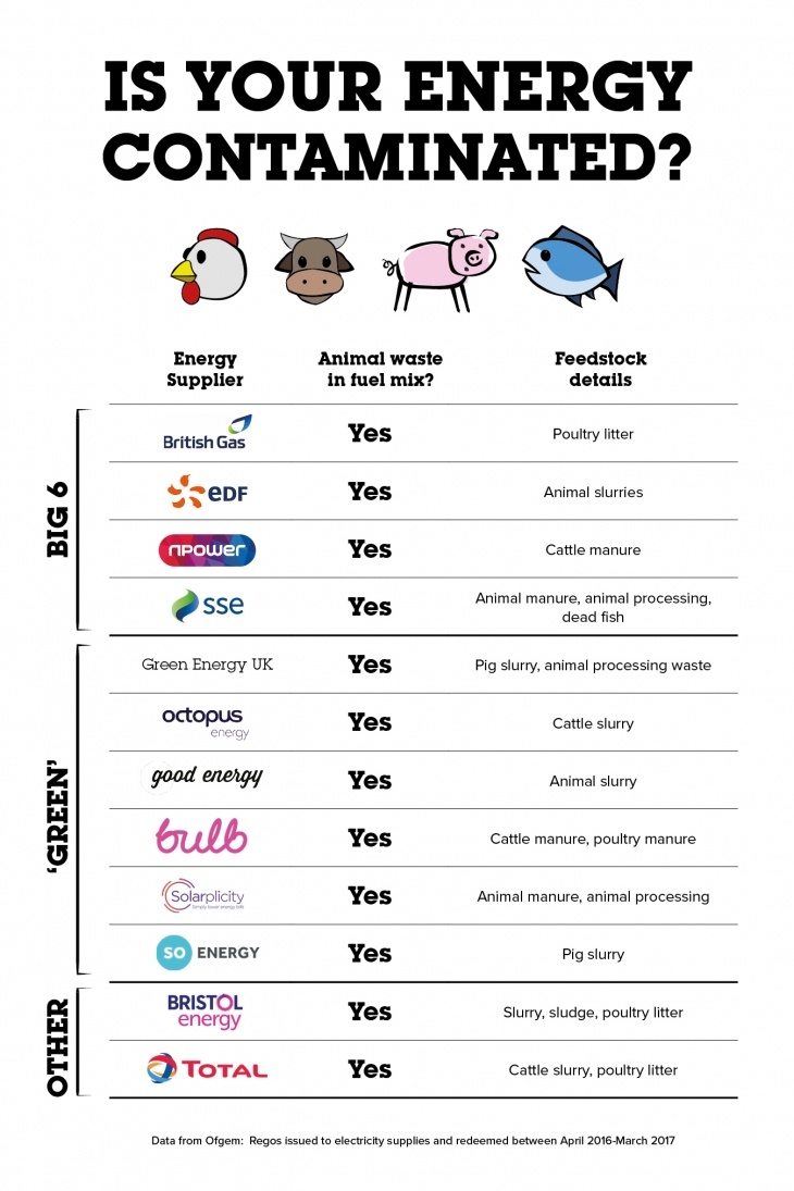 ethical energy vegan energy