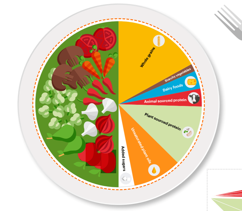 planet friendly diet planetary health diet