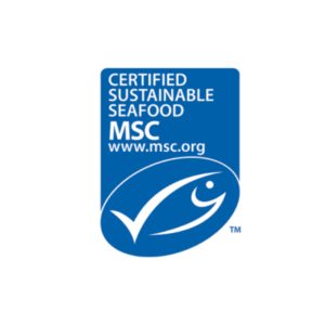 msc