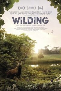 Wilding logo